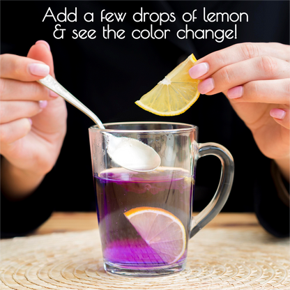 Butterfly Blue Pea Tea