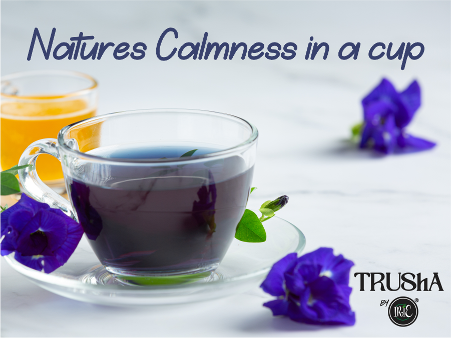 Butterfly Blue Pea Tea